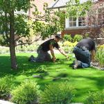 Chaplin Estates Project - Photo 2
After
Front lawn was regraded and innovative faux grass was installed.